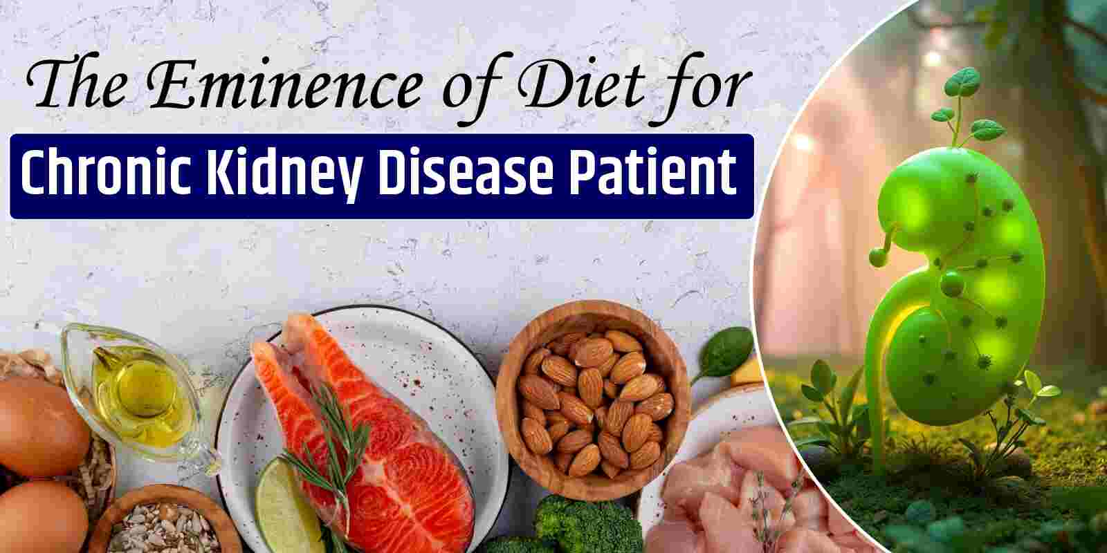 The Eminence of Diet for Chronic Kidney Disease Patient
